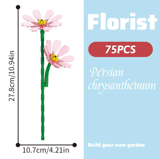 Pe'rsian chrysanthe'mum 