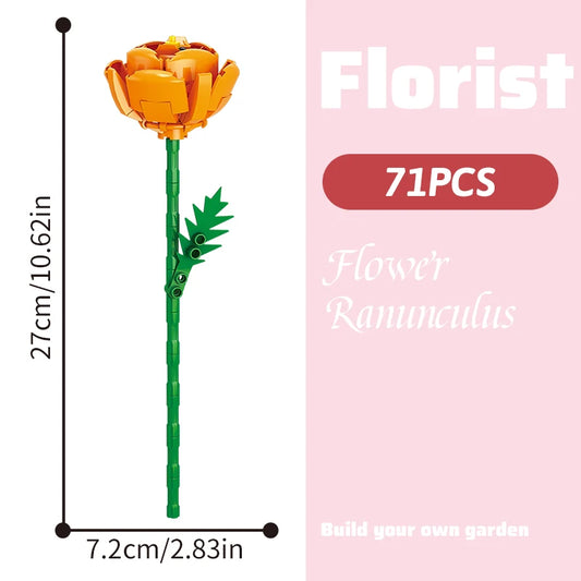 Flower Ranunculus