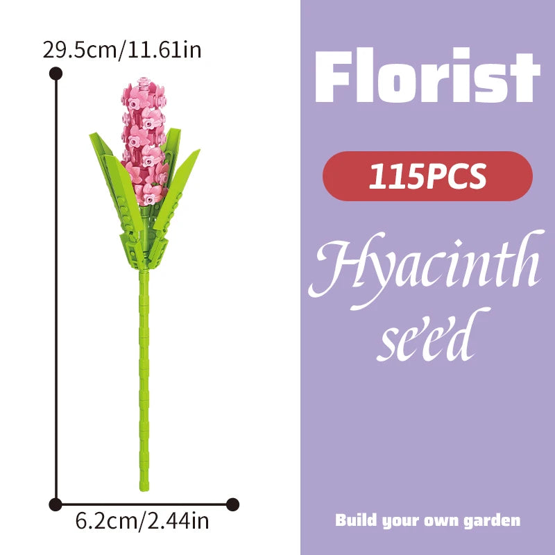 Hyacinth seed 