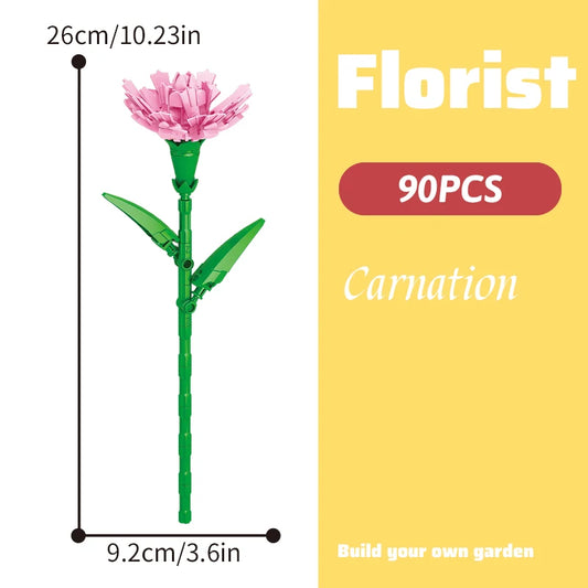 Carnation 