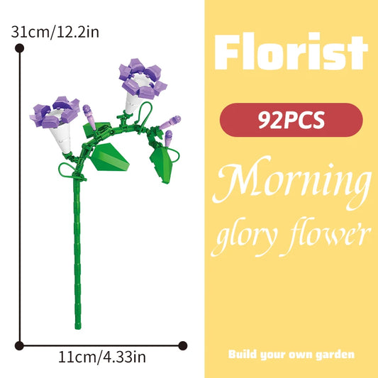 Morning Glory Flower